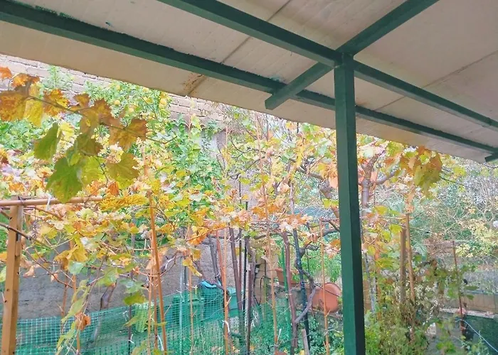 Eden Bed Guest house Rome